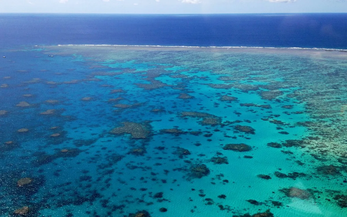 The Great Barrier Reef seen from the air, coral against deep blue