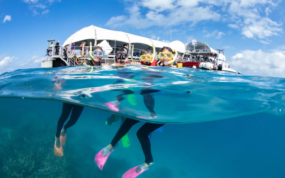 Snorkellers in the water beside a reef pontoon